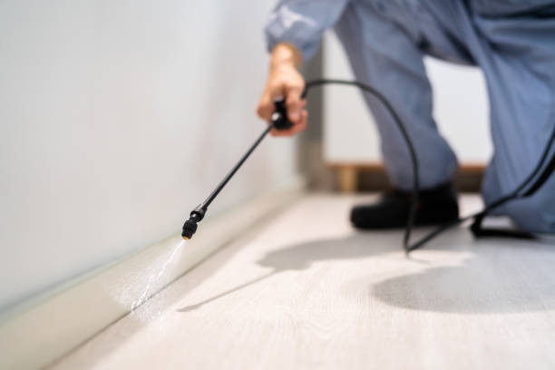 Rodent Entry Point Assessment in Farmington